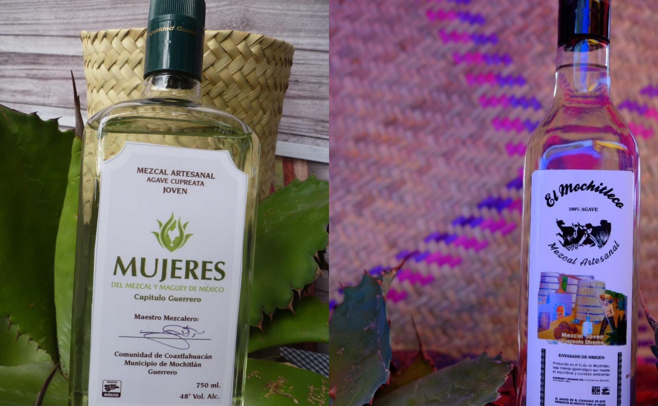 Presentan al mezcal Mujeres y El Mochitleco, ganadores del concurso internacional Spirits Selection