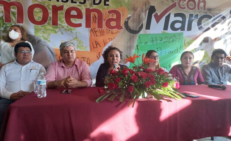 Desde Guerrero, le piden a Mario Delgado encuestas transparentes en la elección del Coordinador de Defensa de la 4T