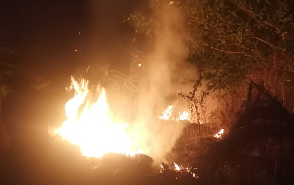 Capturan Bomberos de Acapulco serpiente y sofocan incendio en terreno baldío