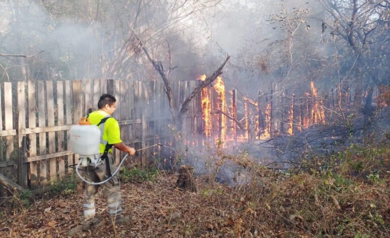 Incendio consume pastizal, un camión, neumáticos y madera en predio de expresidente municipal de Tecpan de Galeana