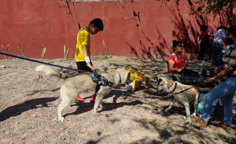 «Lomitos» en Guerrero logran un sueño: ya tienen su primer parque promovido por ciudadanos