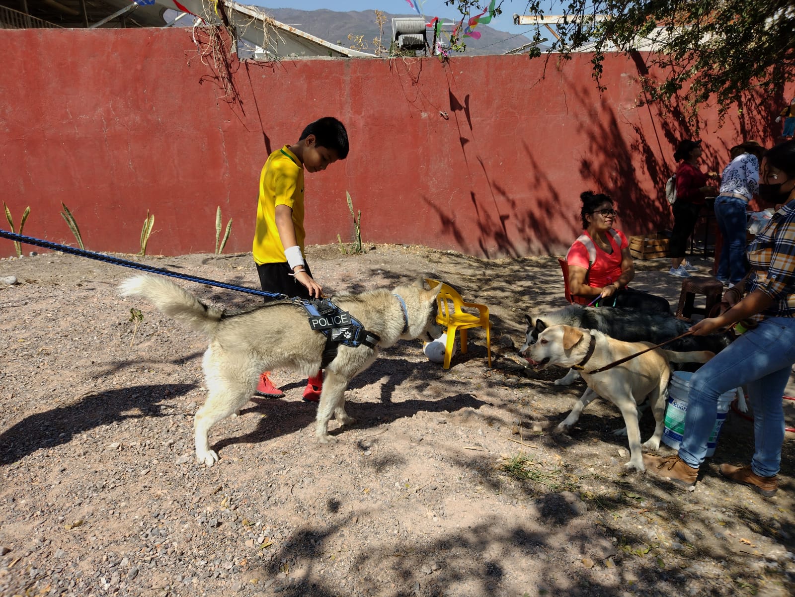 «Lomitos» en Guerrero logran un sueño: ya tienen su primer parque promovido por ciudadanos