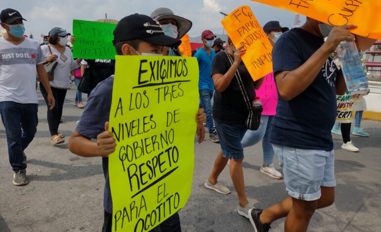 Marchan en Chilpancingo por la liberación de líder de autodefensas del Ocotito