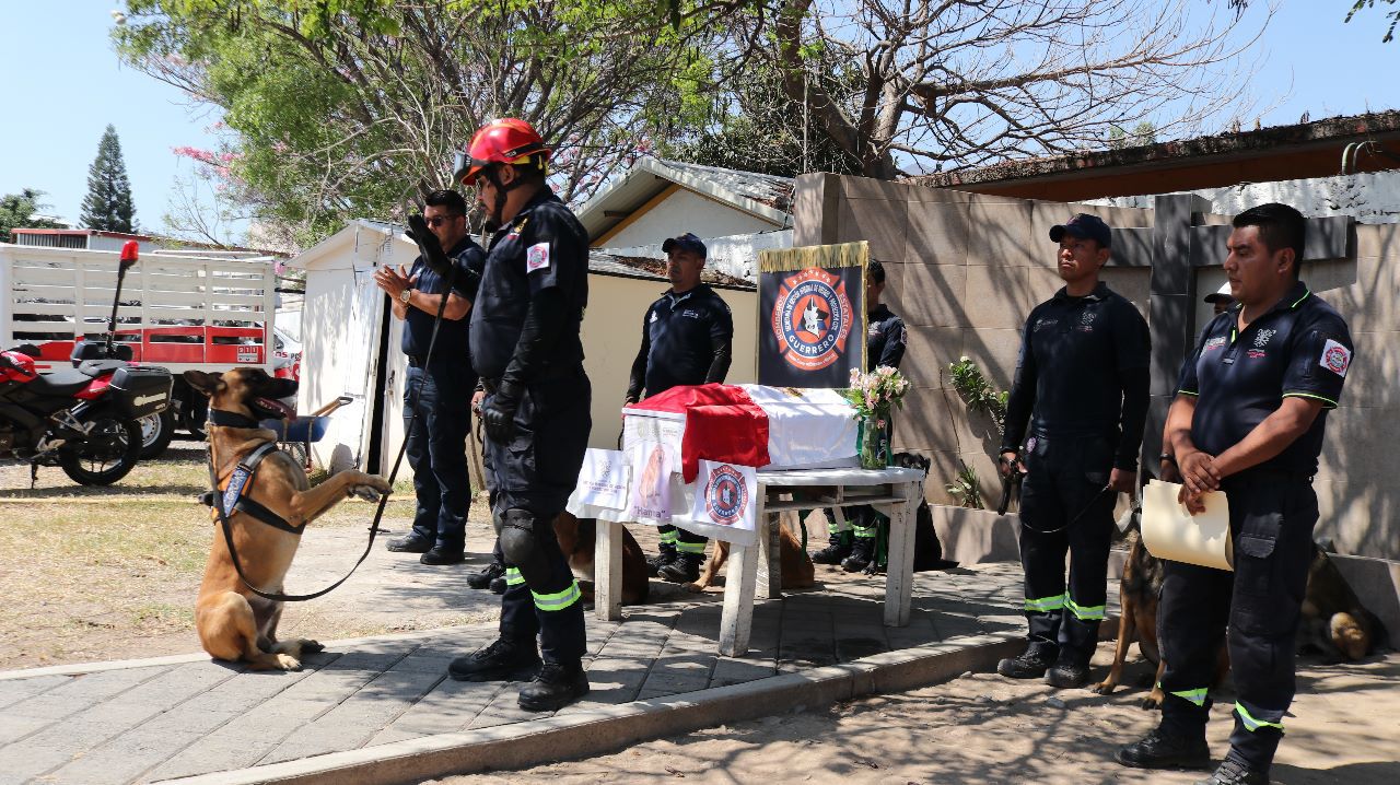 Dan adiós y rinden homenaje a Hanna, perrita de búsqueda y rescate de la Secretaría de Gestión Integral de Riesgos y Protección Civil