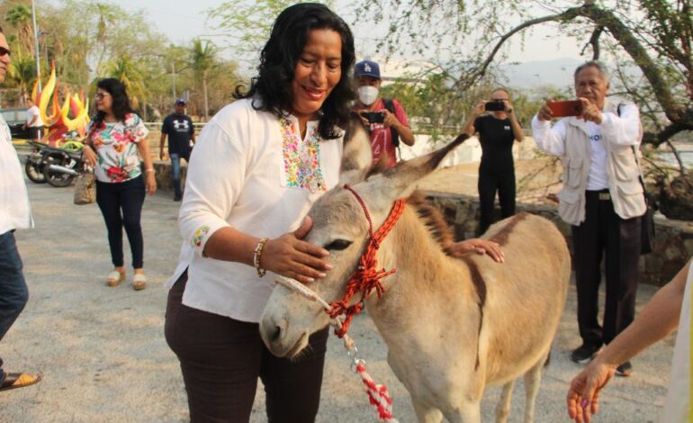 Atestigua Abelina López, traslado de burro a La Roqueta