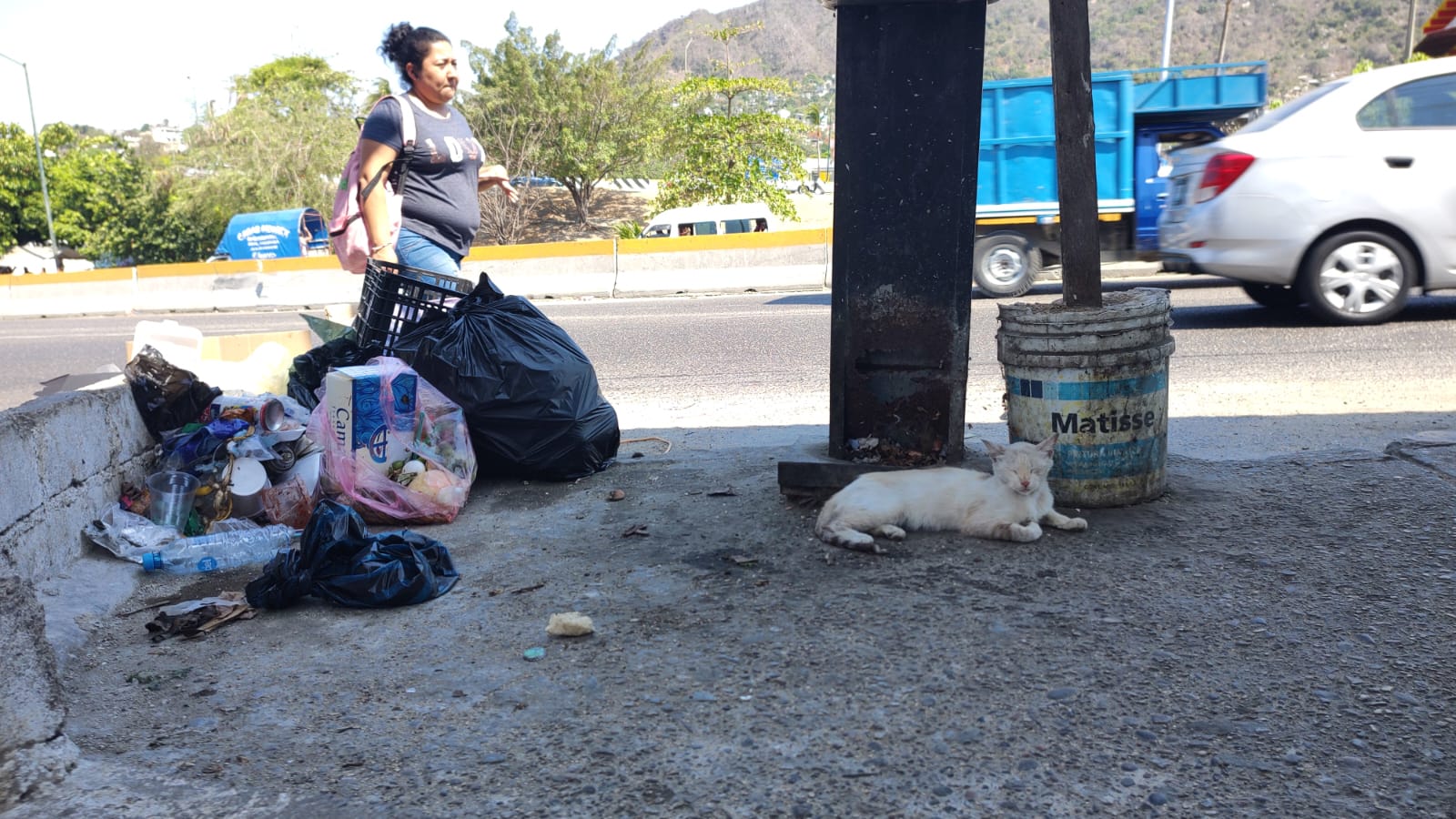 “Una persona que no sabe respetar un animal pues por su puesto que no va a respetar al prójimo“, señalan animalistas