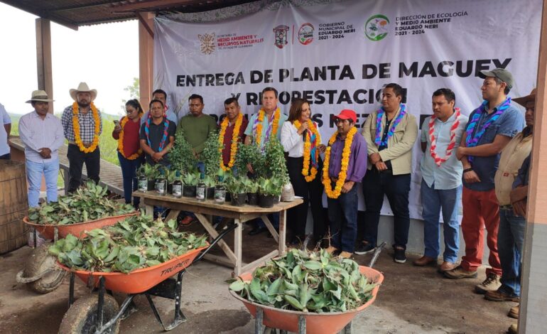 Entrega Semaren plantas de maguey a productores de mezcal