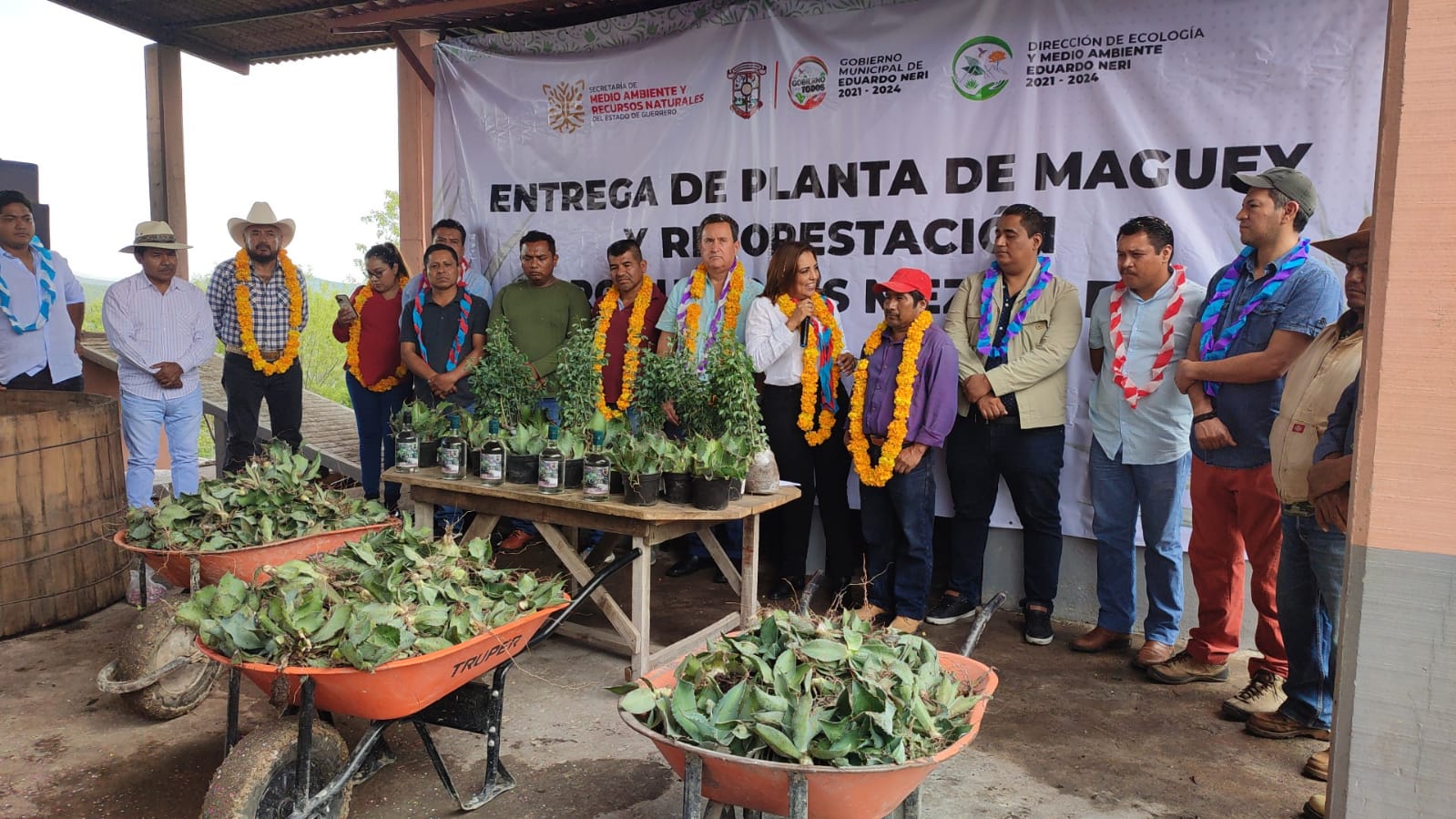 Entrega Semaren plantas de maguey a productores de mezcal