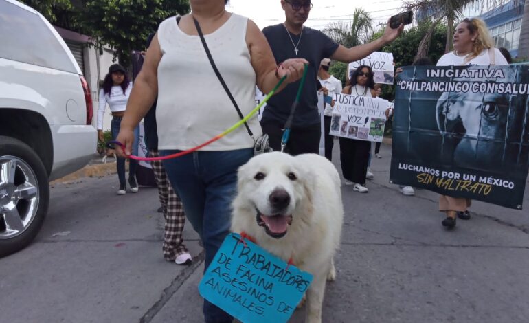 Denuncian casos de envenenamiento a perros en la Facultad de Ciencias Naturales de la UAGro