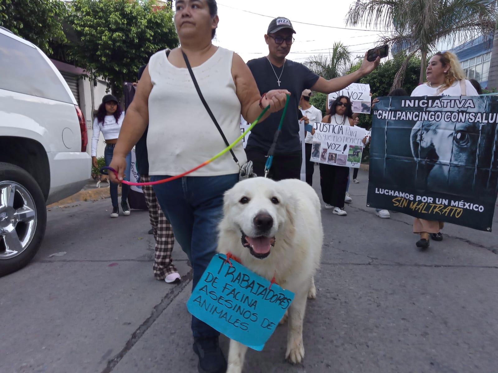 Denuncian casos de envenenamiento a perros en la Facultad de Ciencias Naturales de la UAGro