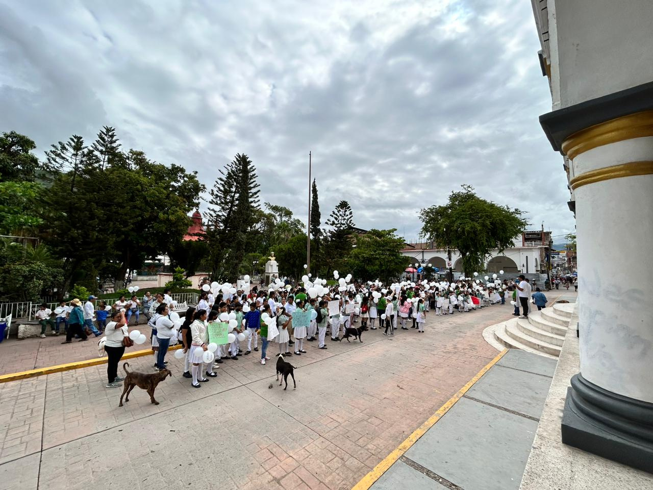 Marchan en Tlapa para exigir justiciar por Gaspar, niño que murió por una bala pérdida