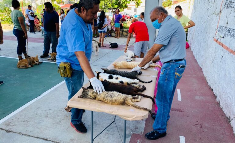 Realiza Gobierno de Abelina López Rodríguez campaña de “Esterilización de Mascotas” en el Coloso