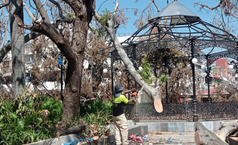 Limpia Gobierno de Abelina López Rodríguez el primer cuadro de la ciudad