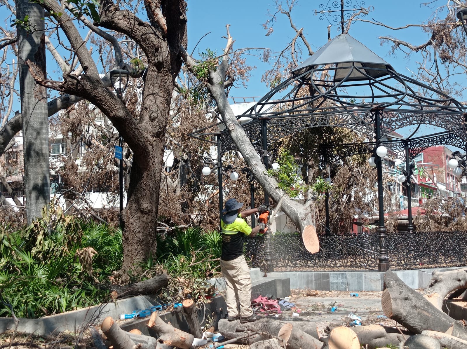 Limpia Gobierno de Abelina López Rodríguez el primer cuadro de la ciudad