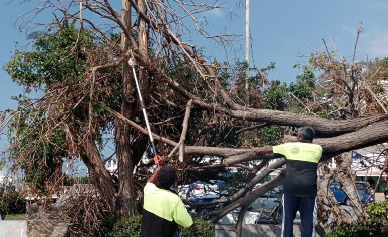 Avanza Gobierno de Abelina López Rodríguez con la limpieza del primer cuadro de la ciudad