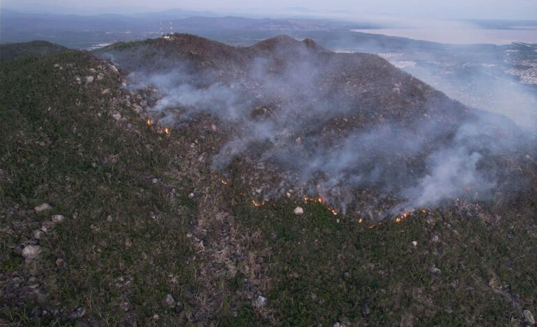 Incendios forestales de Acapulco no representan riesgo para viviendas cercanas