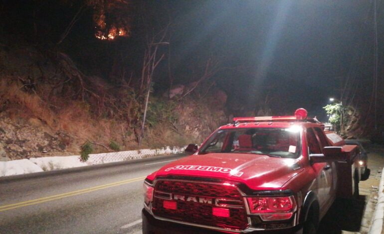 Bomberos de Acapulco atiende incendio forestal cerca de la Escénica