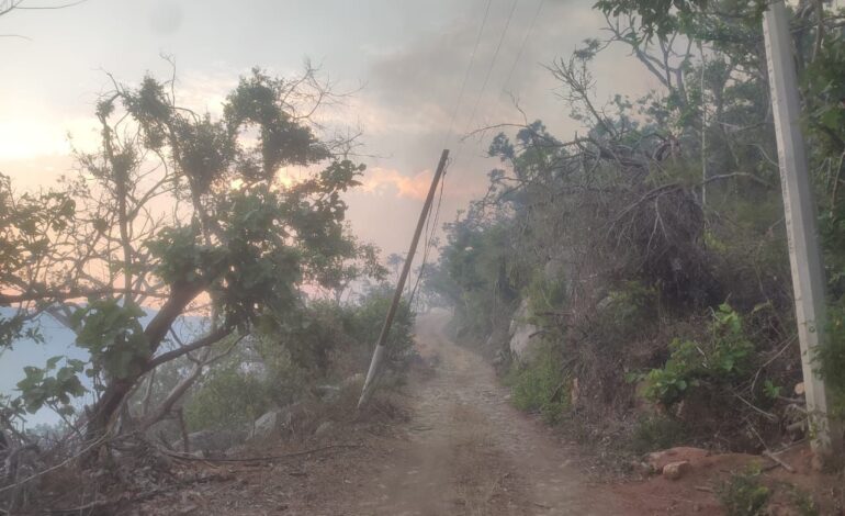 Continúa Protección Civil de Guerrero con labores de combate en el incendio forestal del parque nacional El Veladero