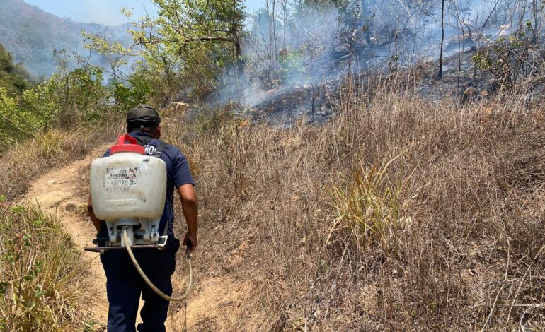 Combaten Bomberos Municipales incendios en distintos puntos de Acapulco