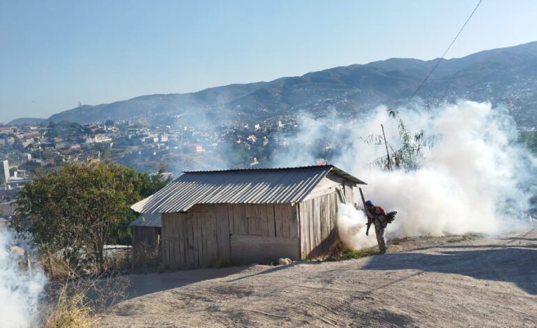 Lava, tapa, voltea y tira, principales acciones contra el dengue: Secretaría de Salud de Guerrero