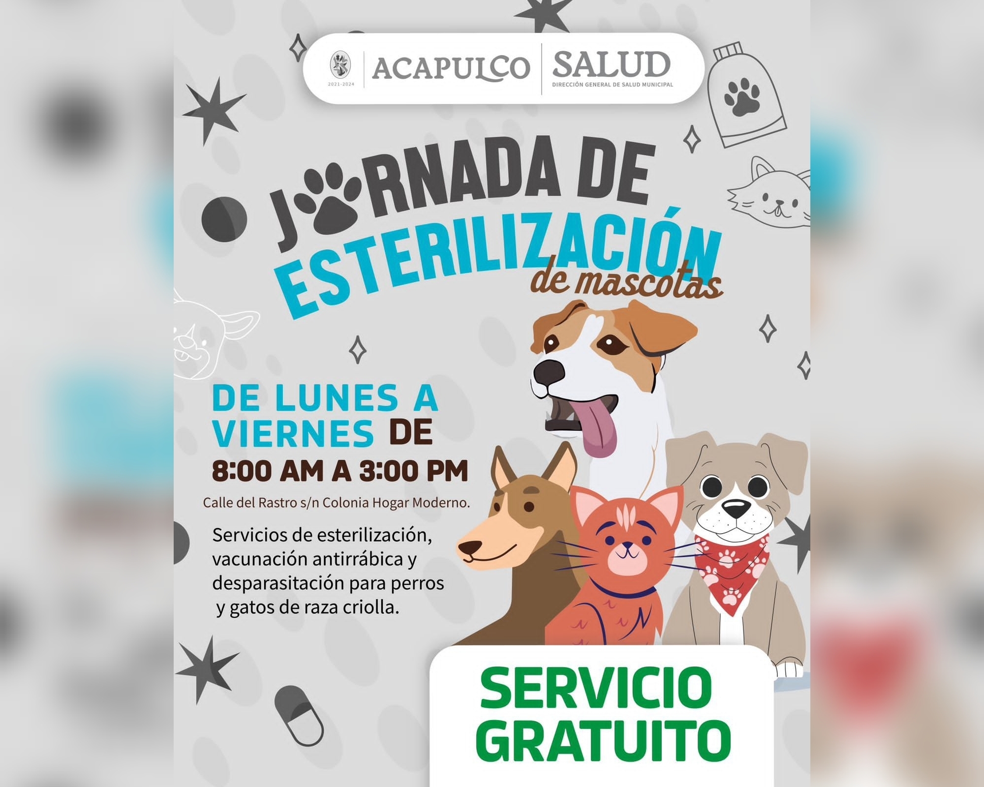 Convoca el Gobierno Municipal a la campaña de esterilización canina y felina