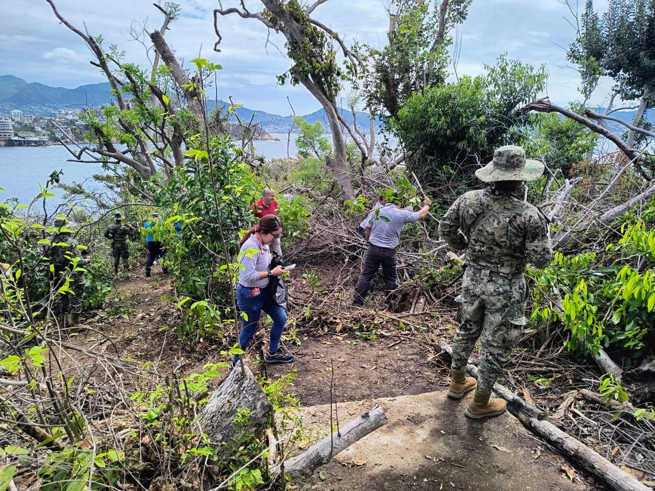 Marina apoya a diversas autoridades con transporte, seguridad y atención médica durante labores de limpieza y reforestación de la isla“La Roqueta” en Acapulco