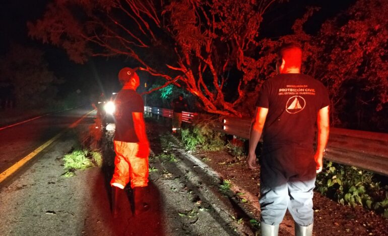 Enorme árbol causa estragos a vivienda en Chilpancingo; cinco son retirados de la vía libre a Acapulco