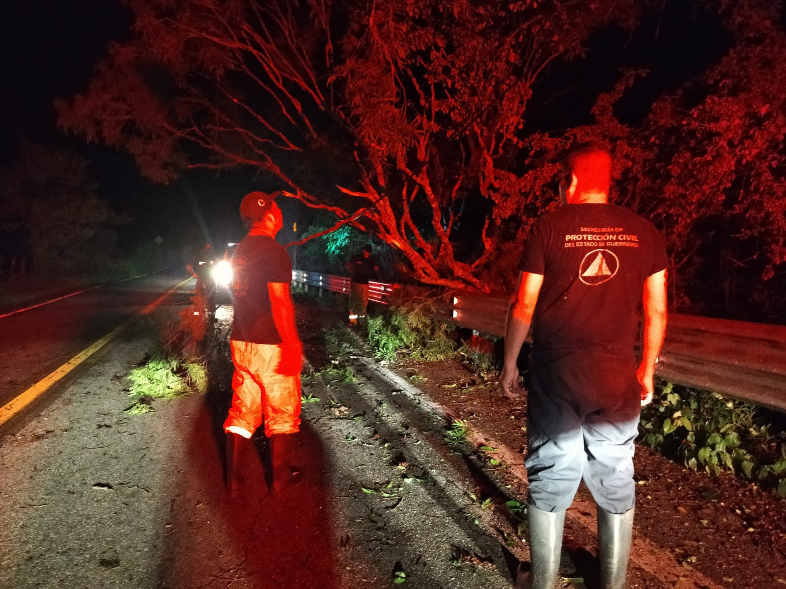 Enorme árbol causa estragos a vivienda en Chilpancingo; cinco son retirados de la vía libre a Acapulco