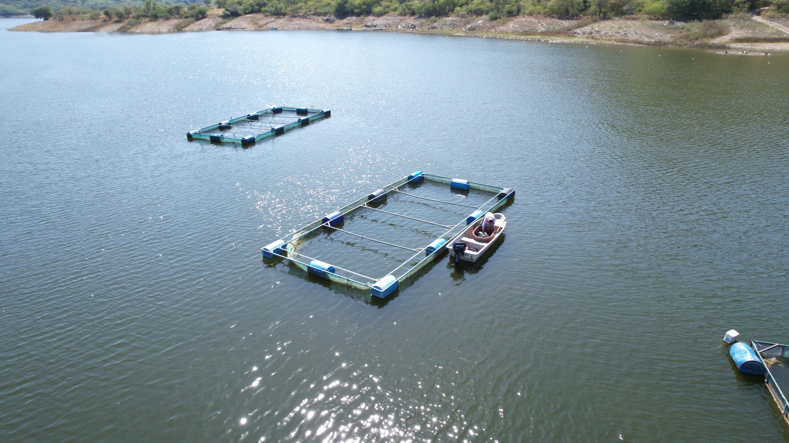 Ponen en marcha Minera Media Luna y pescadores del Balsas la primera planta de procesamiento de pez diablo en Guerrero