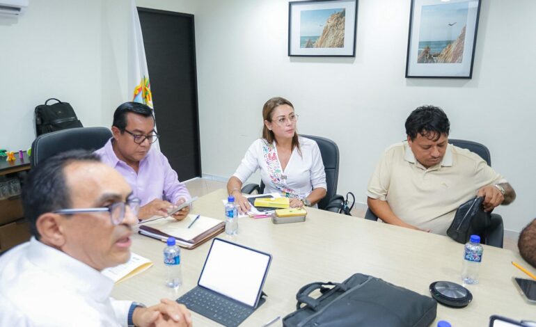 Gestiona gobierno de Evelyn Salgado la rehabilitación de red eléctrica en la Región Costa Chica