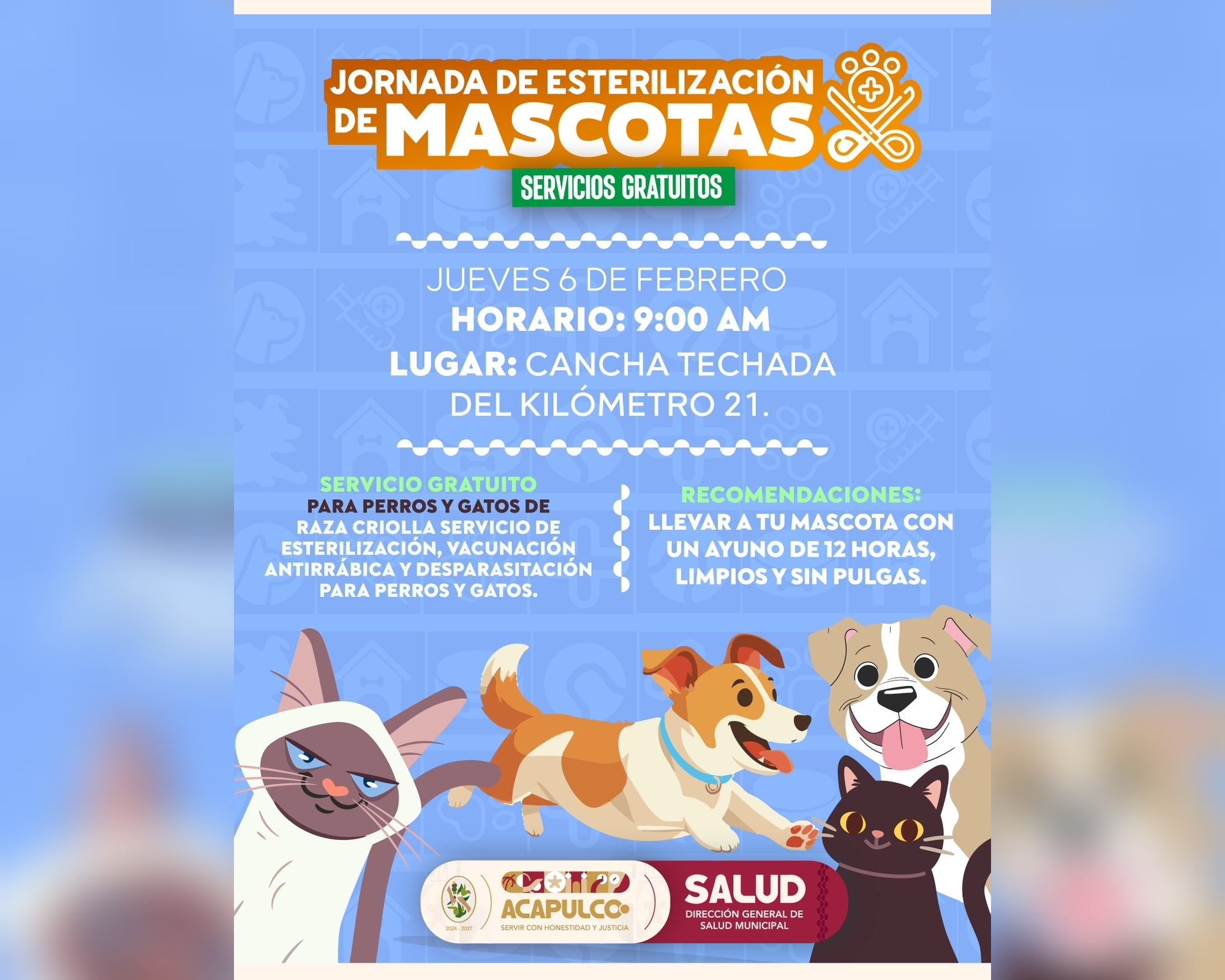 Alista Gobierno de Abelina López Rodríguez jornada itinerante de esterilización de mascotas