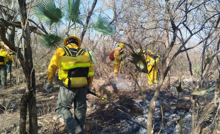 Este martes se mantienen los trabajos de liquidación del incendio forestal de Platanillo