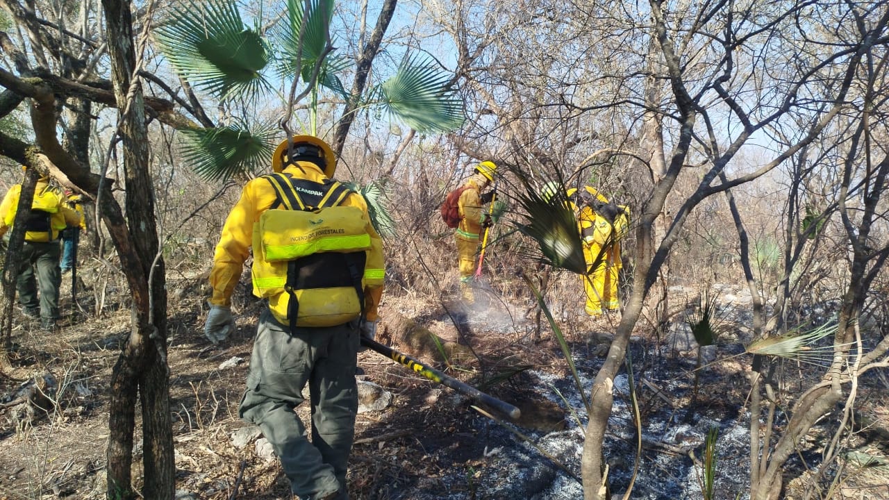 Este martes se mantienen los trabajos de liquidación del incendio forestal de Platanillo