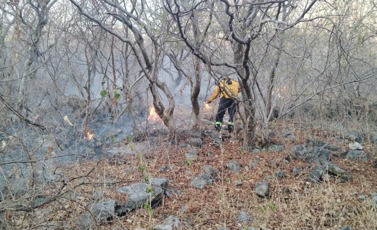 Incendio en el Cerro del Platanillo, Iguala, bajo control y sin riesgo para la población