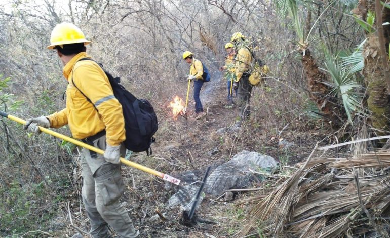 Gobierno de Guerrero fortalece labores de combate al incendio forestal de Iguala, sin riesgo para la población