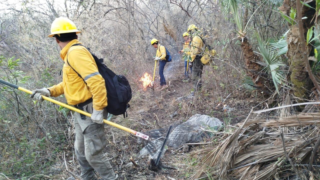 Gobierno de Guerrero fortalece labores de combate al incendio forestal de Iguala, sin riesgo para la población