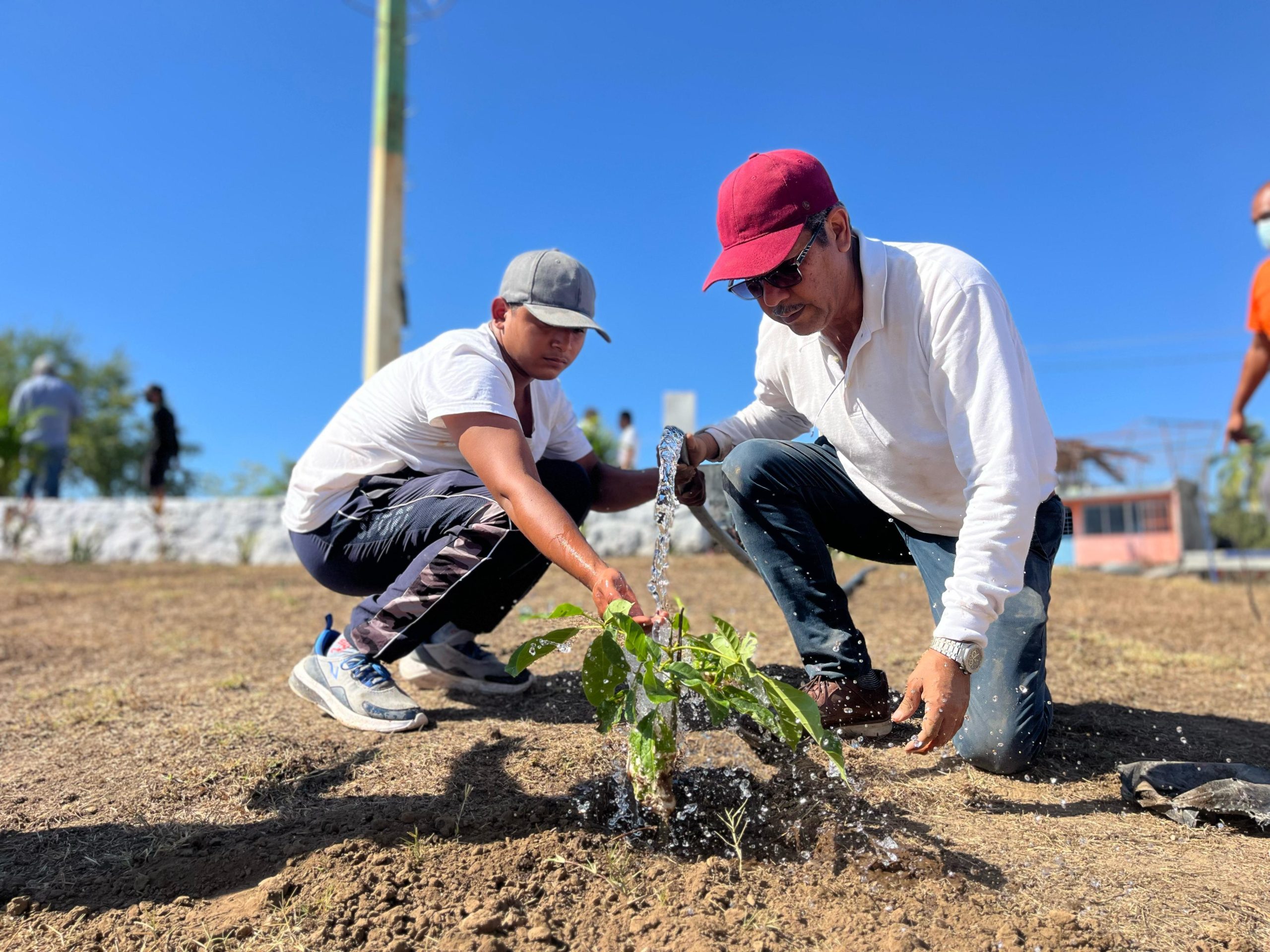 Reforesta Gobierno de Abelina López Rodríguez y sociedad civil parques en Ciudad Renacimiento